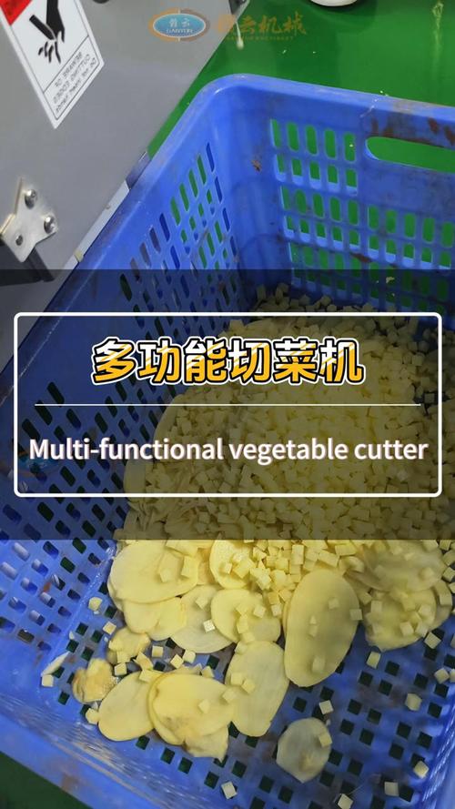 一机多能，切割艺术 离心式刨片机如何重新定义厨房效率与美学